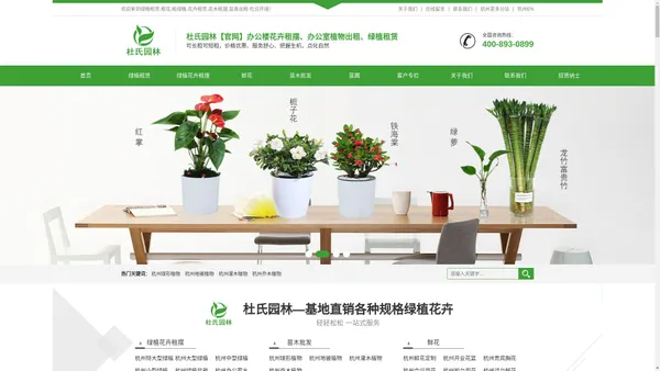 杭州绿植租赁|杭州花卉租摆|杭州办公室植物租赁|杭州绿植花卉批发|绿化养护|杭州甲醛检测治理|除甲醛-杜氏环境