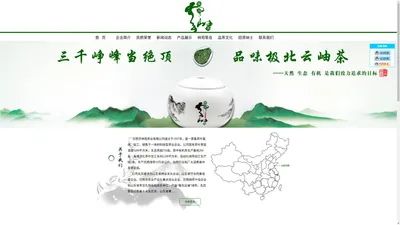 极北云岫-日照市林苑茶业有限公司 - 日照绿茶 绿茶 茶叶  日照极北云岫绿茶