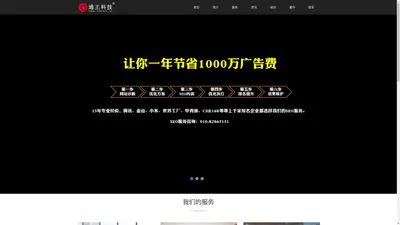 SEO·品牌推广·网络营销策划·王通