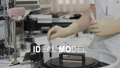 IDEAL MODEL