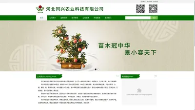 果树盆景,河北同兴农业科技有限公司,园林绿化