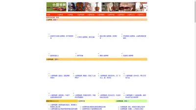 小提琴网-专业领先的小提琴网站