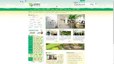 上海植物租赁公司_上海办公室绿化植物花卉租赁养护_金荷园艺