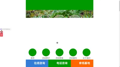 四川润砾农业有限公司,西南中药材种植基地！药材种子种苗批发,种植技术,药材回收一站式服务企业！ - 