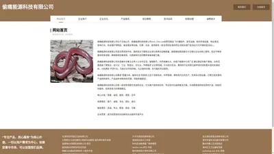 偷痛能源科技有限公司