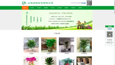 上海清丽园艺1-植物租赁，花卉租摆，绿植盆栽批发，草花种植，蝴蝶兰、发财树预定，租花、摆花、室内绿化 