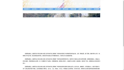 高端网站建设_上海网页设计定制_微信小程序_软件系统开发_网络推广-畔游科技官网