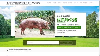 网站首页-莱州市坤鹏养猪专业合作社种公猪站