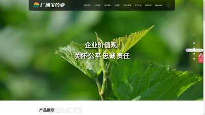 山东广通宝医药有限公司--维生素K1|维生素K1医药级|维生素K1粉末|叶绿素铜钠盐（喷干）|油溶性叶绿素|天然植物醇|2,6-二苯基苯酚