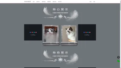 [幸福布偶猫舍]-纯种布偶猫喂养知识分享