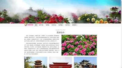 菏泽牡丹网 - 菏泽牡丹文化旅游节 牡丹花会 世界牡丹大会 牡丹产品 