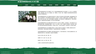 湖北鑫洪泰精密模具有限公司-资讯-健康