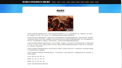 武汉楚天大洋科技有限公司-减肥-数码