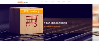 Leadtong领通|专业出海品牌营销与分销服务商