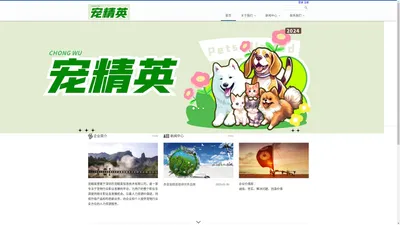 深圳市宠精英信息技术有限公司