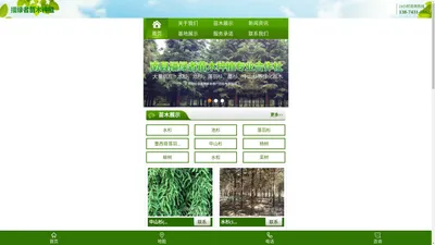 南县播绿者苗木种植专业合作社-南县水杉|南县池衫|南县落羽杉