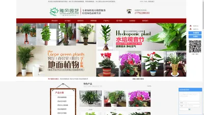 西安绿植租摆_西安花卉租摆_西安绿植租赁-西安雅风企业管理有限公司