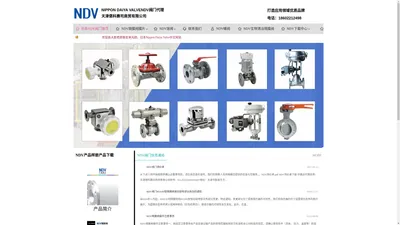 日本NDV阀门|DAIYA阀门|总代理