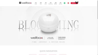 开启美力时光 丨Wellbox How well do you want to live丨可芷亚国际贸易（上海）有限公司