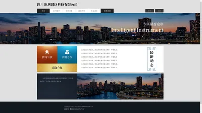 四川游龙网络科技有限公司