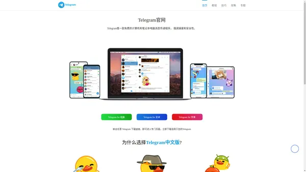 TG纸飞机/APP/下载/中文版/电脑版-telegram官网