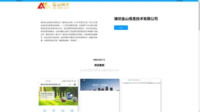 网站推广_网站建设_抖音运营_潍坊网站建设_潍坊网站运营_潍坊金山科技