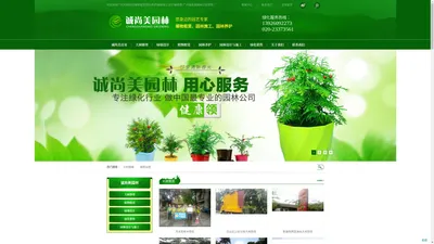 广州大树修剪|植物租赁|绿化养护|园林施工设计|植物墙-广州诚尚美园林公司广州大树修剪|植物租赁|绿化养护|园林施工设计|植物墙-广州诚尚美园林公司