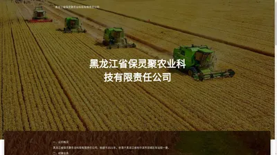 黑龙江省保灵聚农业科技有限责任公司