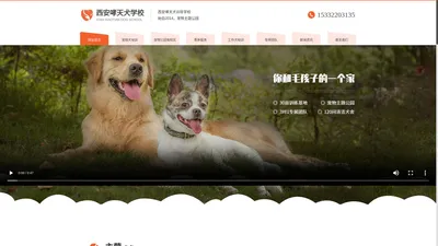 西安训犬学校位置_西安训狗学校路线_西安训犬基地费用_训狗基地价格-哮天犬学校