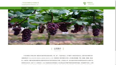 首页 - 广东克尔维特化工有限公司