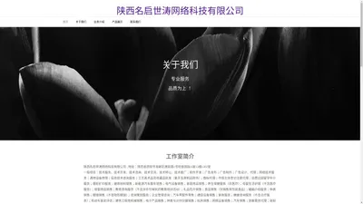 陕西名启世涛网络科技有限公司