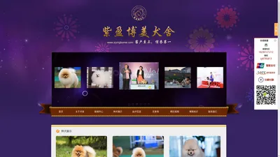 紫盈博美犬舍 博美犬|博美|白博美 博美犬舍