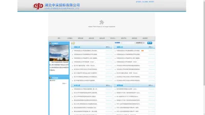 湖北中采招标有限公司