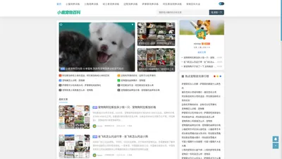 小鹿宠物百科网 - 分享小猫咪,狗狗等宠物饲养训练技巧知识