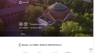 网站设计公司-高端网站建设-UI设计公司-HOLY荷勒设计