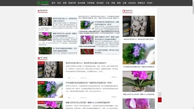 农讯网-中国农村特色农业资讯网站,现代有机农业项目种植交流与农资信息网 