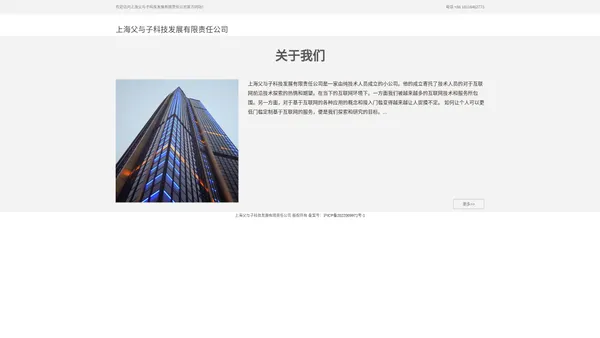 上海父与子科技发展有限责任公司