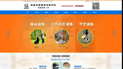 南昌训犬学校-南昌拉酷宠物训练狗狗寄养基地