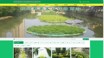 河北源发水生植物浮岛种植有限公司专业提供【水生植物浮岛,水生植物浮床,人工浮岛,人工浮床,生态浮岛,生态浮床,生物浮岛,生物浮床】-河北源发水生植物浮岛种植有限公司