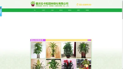 重庆植物租摆,重庆办公室植物租摆,重庆园林绿地养护-重庆拉卡粒园林绿化有限公司