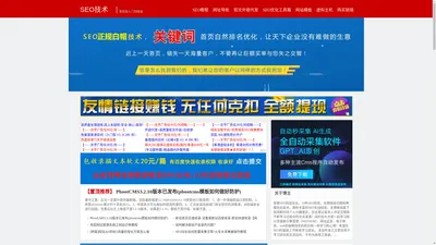 百度SEO_海外谷歌「Google」搜索引擎营销排名_外贸网站优化-陈评评博客