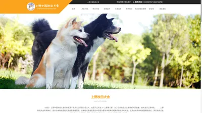 日本秋田犬_白色秋田犬_虎斑秋田犬-上野秋田犬舍