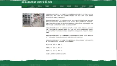 和田 企业建站免费指导 小程序开发 帮扶 东辽县