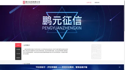 公司介绍 - 鹏元征信有限公司