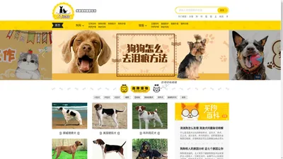 宠物狗品种-猫咪品种及狗狗猫咪图片大全-法牛宠物网