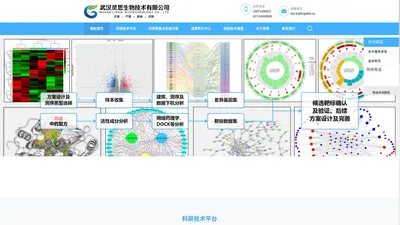 单细胞测序|蛋白质组学检测|多组学联合分析-武汉灵思生物技术有限公司