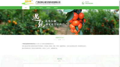 花果小蜜|广西花果小蜜生物科技有限公司