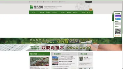 馨元萃,烟富8,苹果新品种,双脱毒矮化苹果苗//烟台现代果业