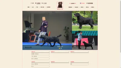 碳峡谷犬舍_拉布拉多_江苏碳峡谷-欢迎访问江苏碳峡谷犬舍！碳峡谷犬舍致力于顶级拉布拉多犬的繁育,追求血统和品质。 - 碳峡谷拉布拉多犬舍