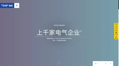 乐清网站建设-乐清网络公司-乐清网站设计-网站优化-腾速【官网】 - 